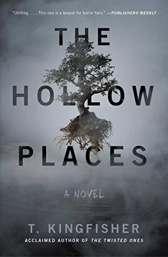 Bìa sách The Hollow Places