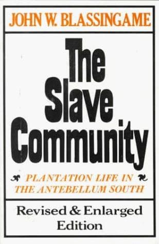 Bìa sách The slave community