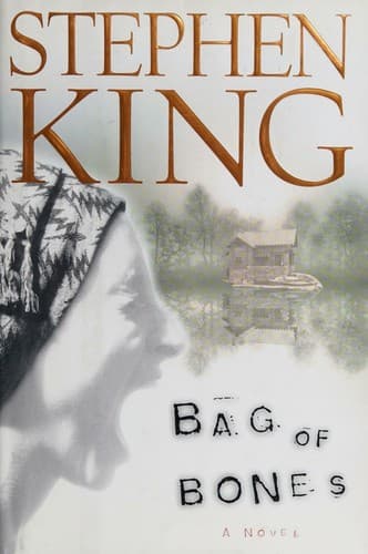 Bìa sách Bag of Bones