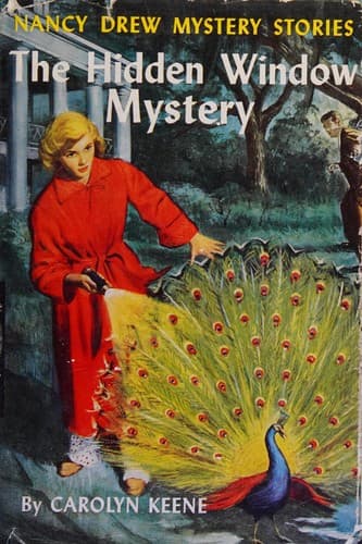 Bìa sách The Hidden Window Mystery