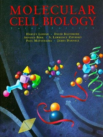 Bìa sách Molecular cell biology