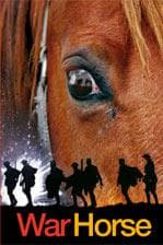 Bìa sách War Horse