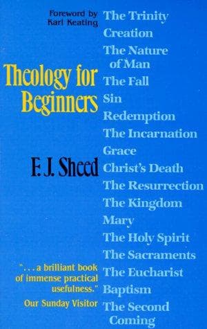 Bìa sách Theology for beginners