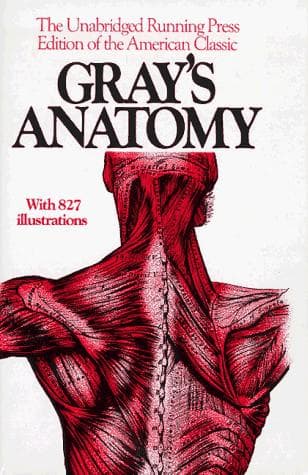 Bìa sách Anatomy