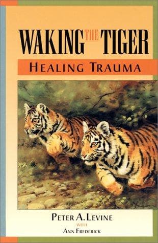Bìa sách Waking the tiger
