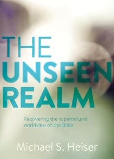 Bìa sách The unseen realm