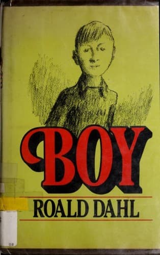 Bìa sách Boy