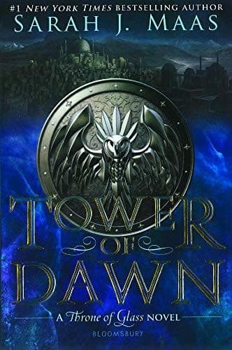 Bìa sách Tower of Dawn