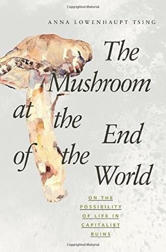 Bìa sách The mushroom at the end of the world