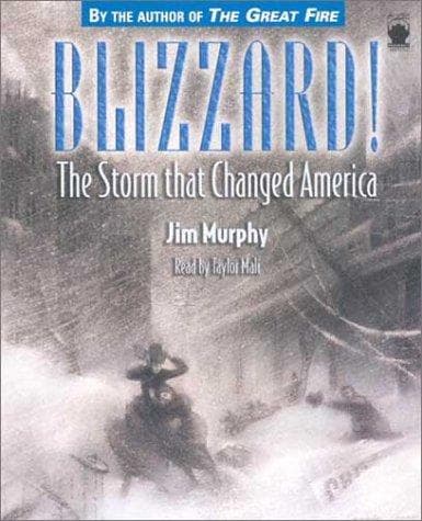 Bìa sách Blizzard!