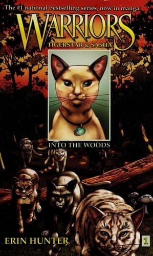 Bìa sách Into the Woods