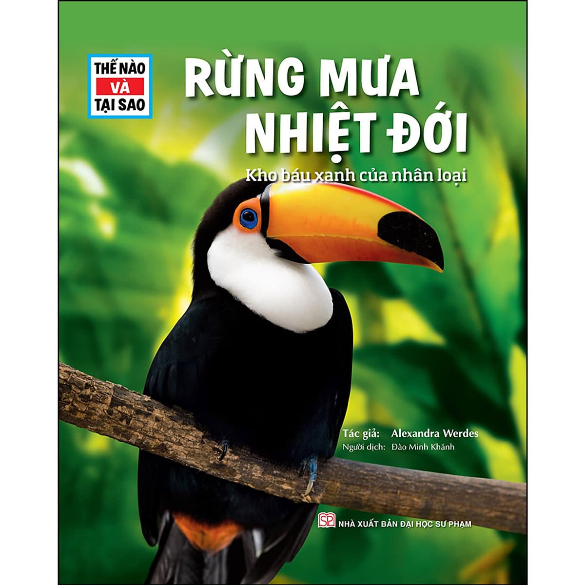 Bìa sách Thế Nào Và Tại Sao - Rừng Mưa Nhiệt Đới