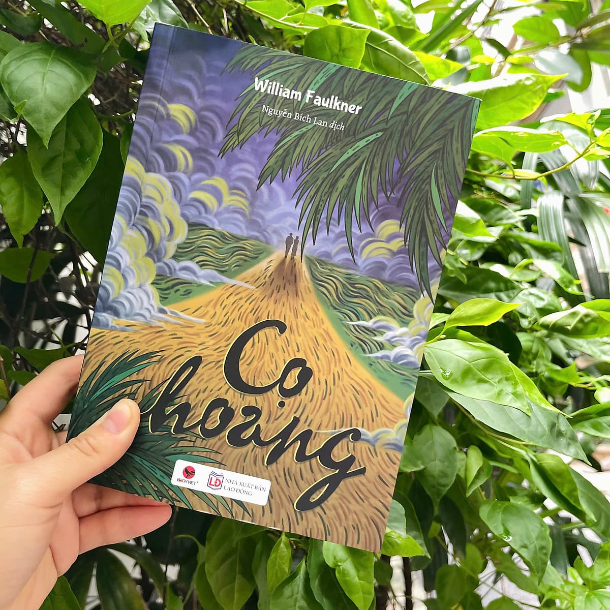 Bìa sách Cọ Hoang - William Faulkner