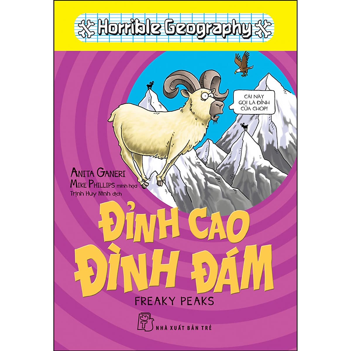 Bìa sách Đỉnh Cao Đình Đám