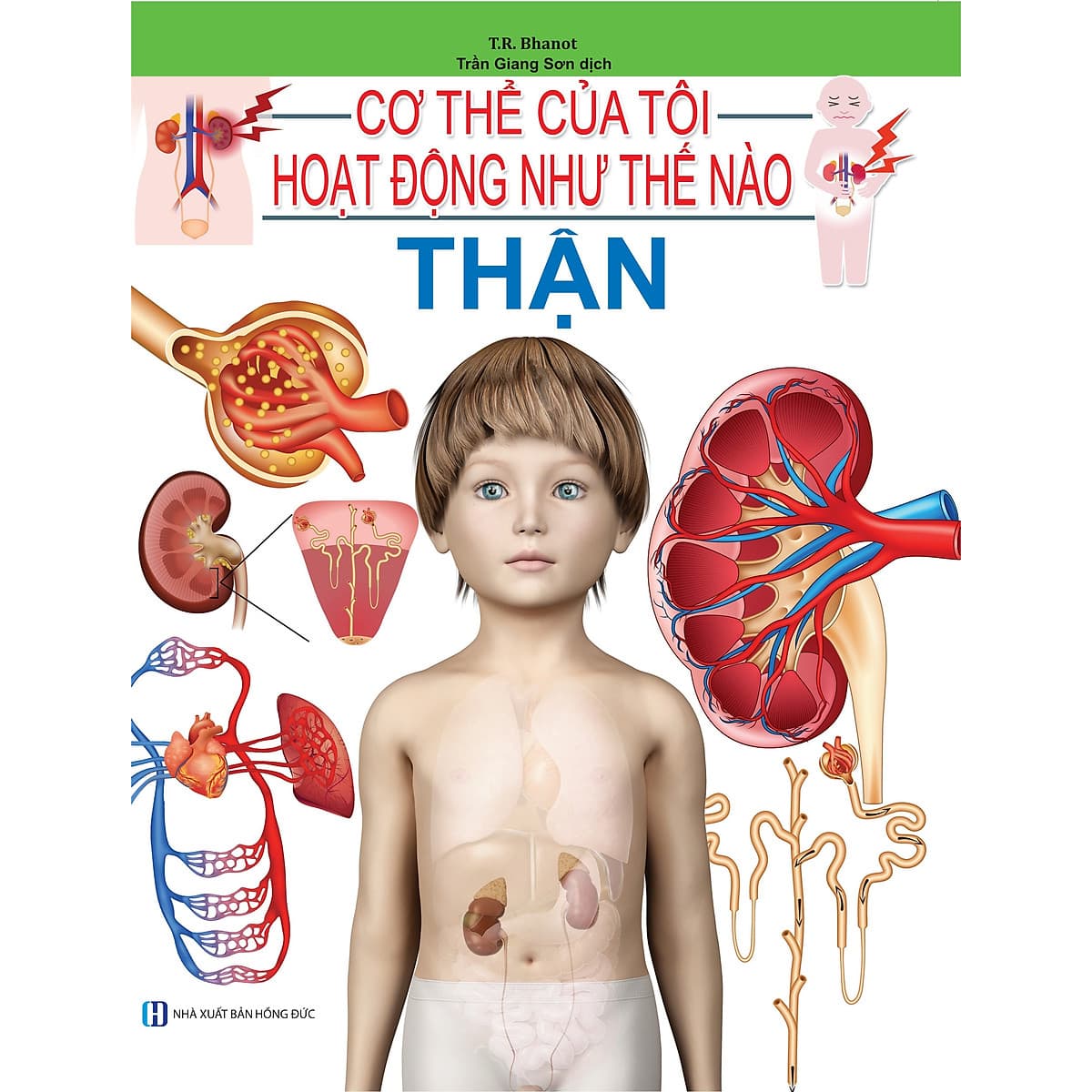 Bìa sách Cơ Thể Của Tôi Hoạt Động Như Thế Nào - Thận