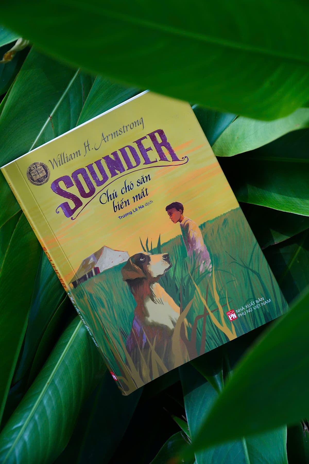 Bìa sách SOUNDER - Chú Chó Săn Biến Mất