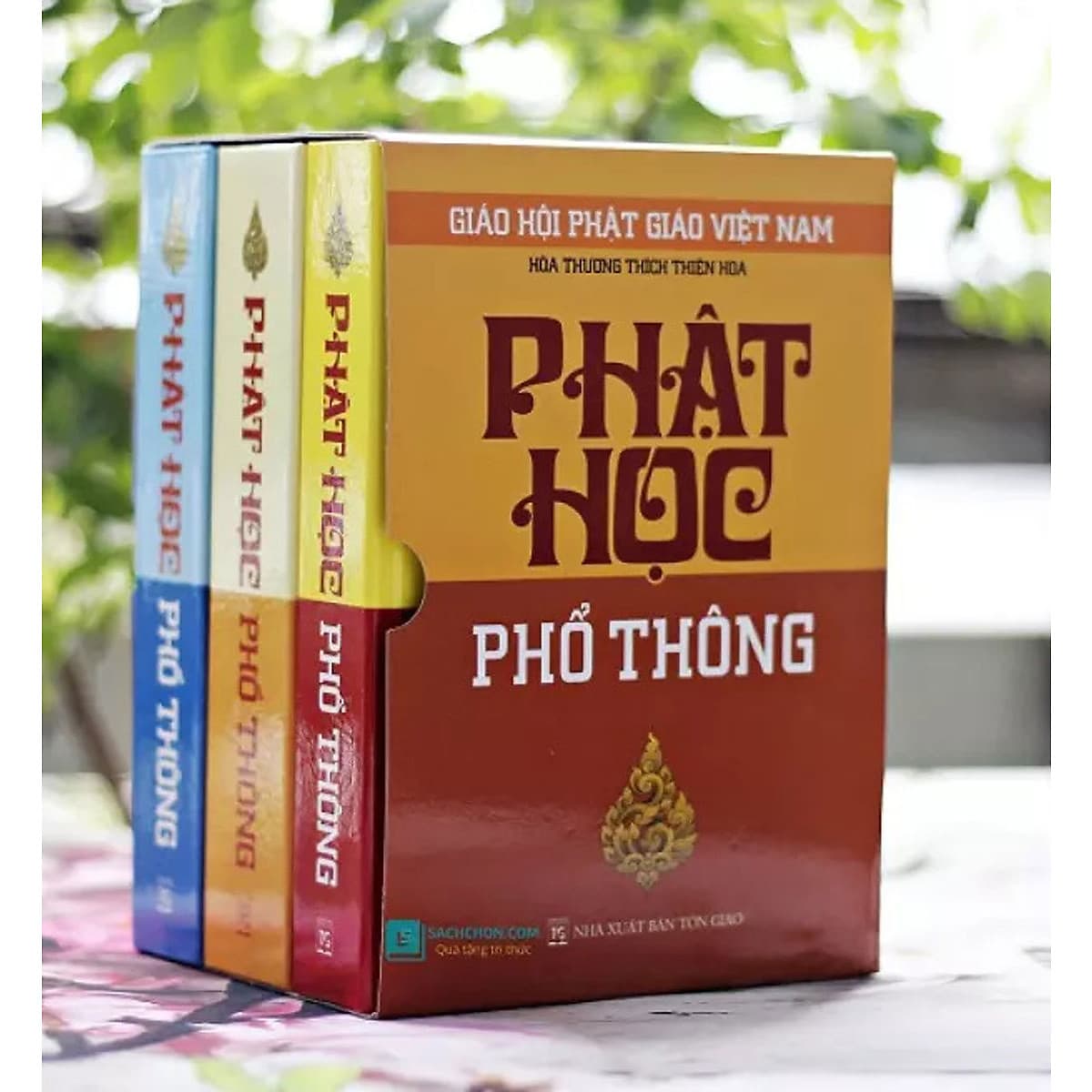 Bìa sách Phật Học Phổ Thông (Bộ 3 Tập)