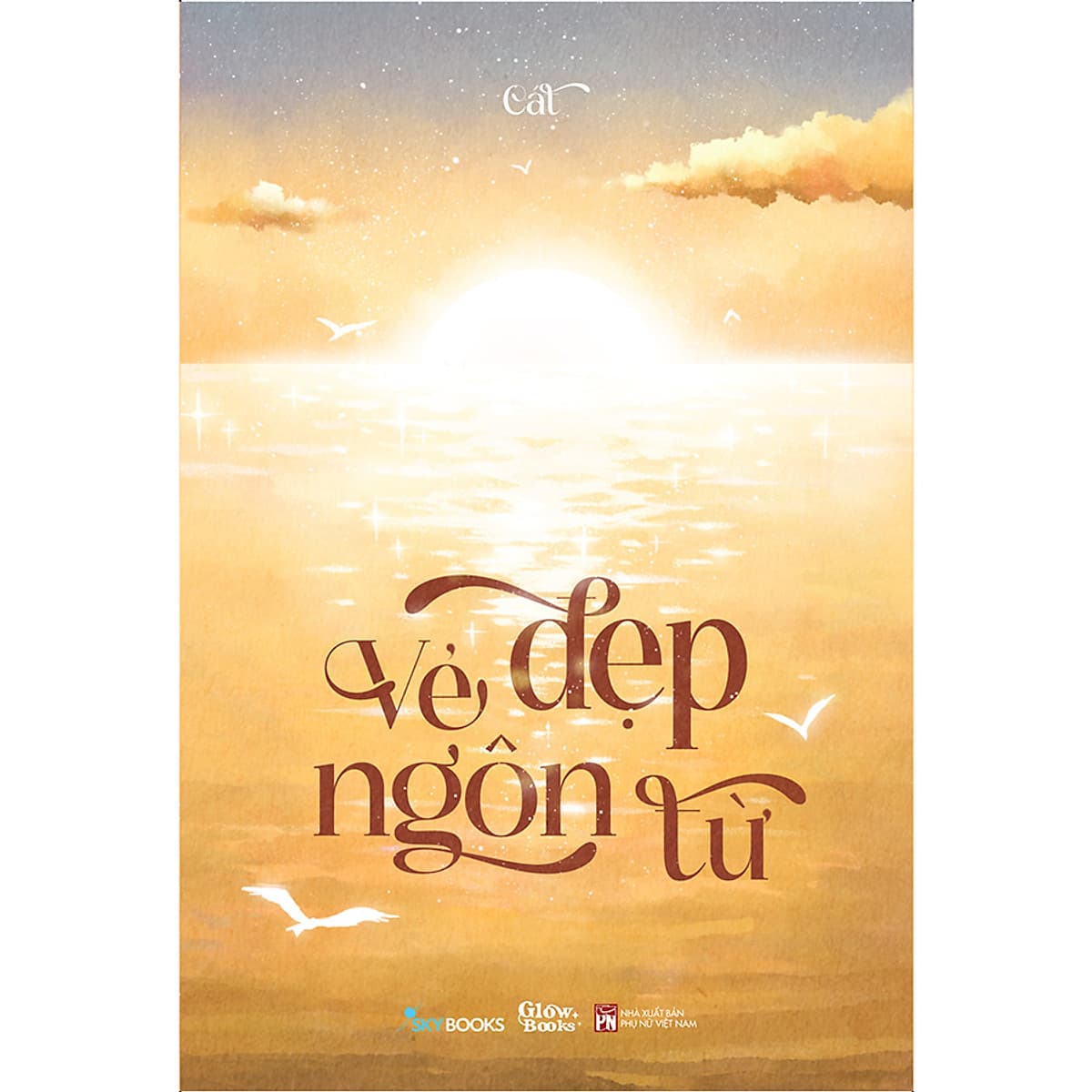 Bìa sách Vẻ đẹp ngôn từ