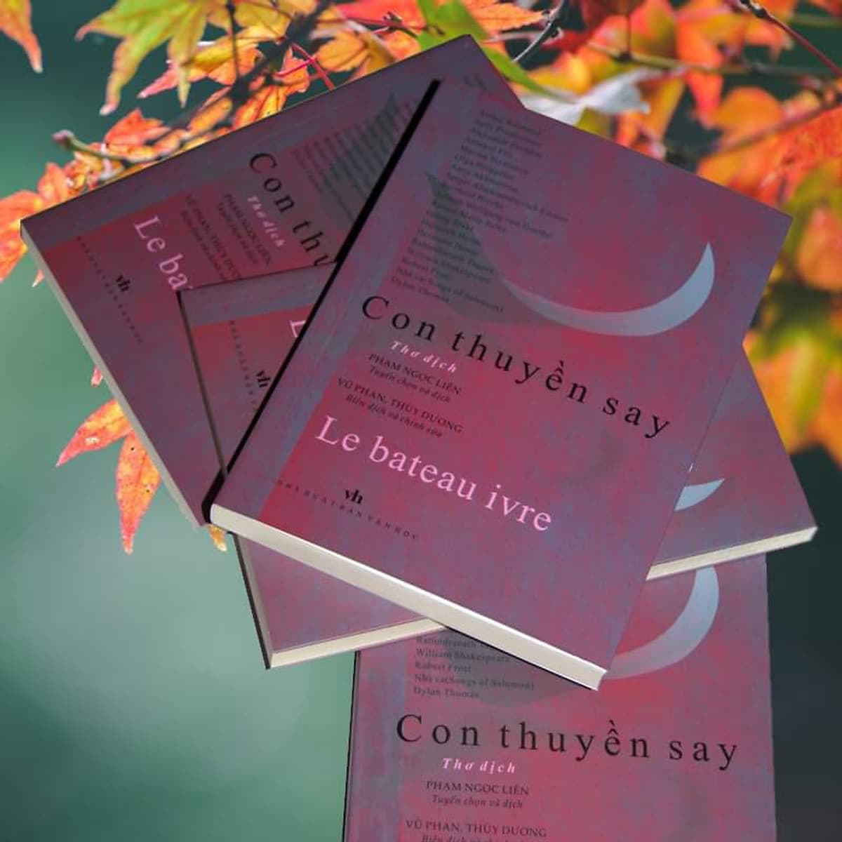Bìa sách Con Thuyền Say - Tuyển thơ dịch: Arthur Rimbaud, A. Puskin, Hermann Hesse, R. Tagore, W. Shakespeare, Henrich Heine, Beltolt Brecht, Olga Berggoltz...Phạm Ngọc Liên tuyển chọn và dịch