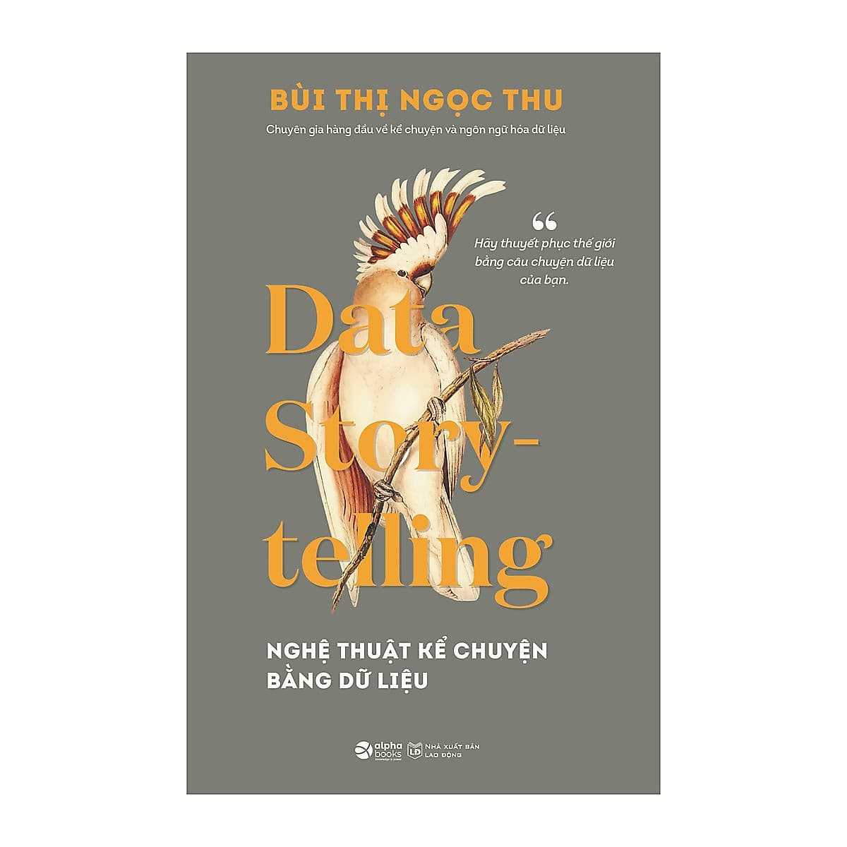 Bìa sách Data Story-telling - Nghệ Thuật Kể Chuyện Bằng Dữ Liệu