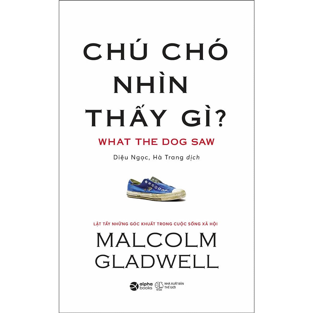 Bìa sách Chú Chó Nhìn Thấy Gì