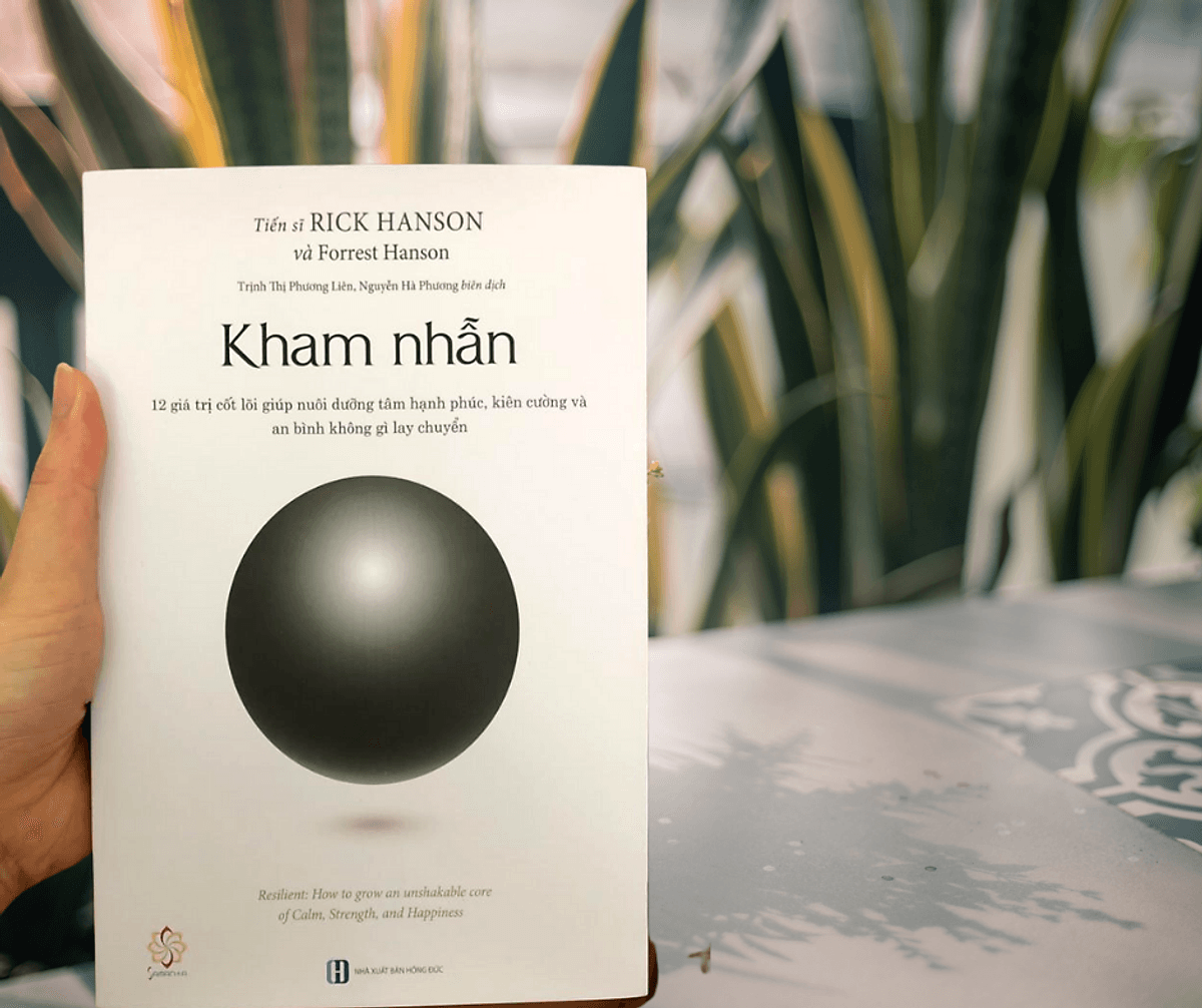 Bìa sách Combo "Bộ não của Phật"