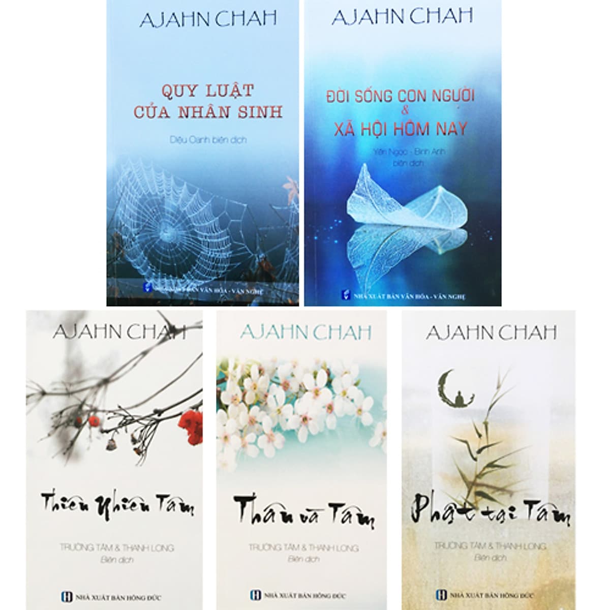 Bìa sách Bộ 5 Cuốn Sách Của Thiền Sư Ajahn Chah : Quy Luật Của Nhân Sinh + Đời Sống Con Người Và Xã Hội Hôm Nay + Phật Tại Tâm + Thân Và Tâm + Thiên Nhiên Tâm