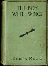 Bìa sách The Boy with Wings