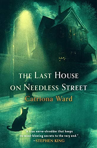 Bìa sách The Last House on Needless Street