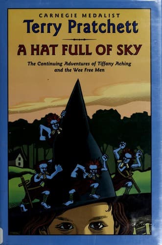 Bìa sách A Hat Full of Sky