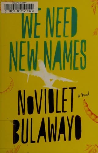 Bìa sách We Need New Names