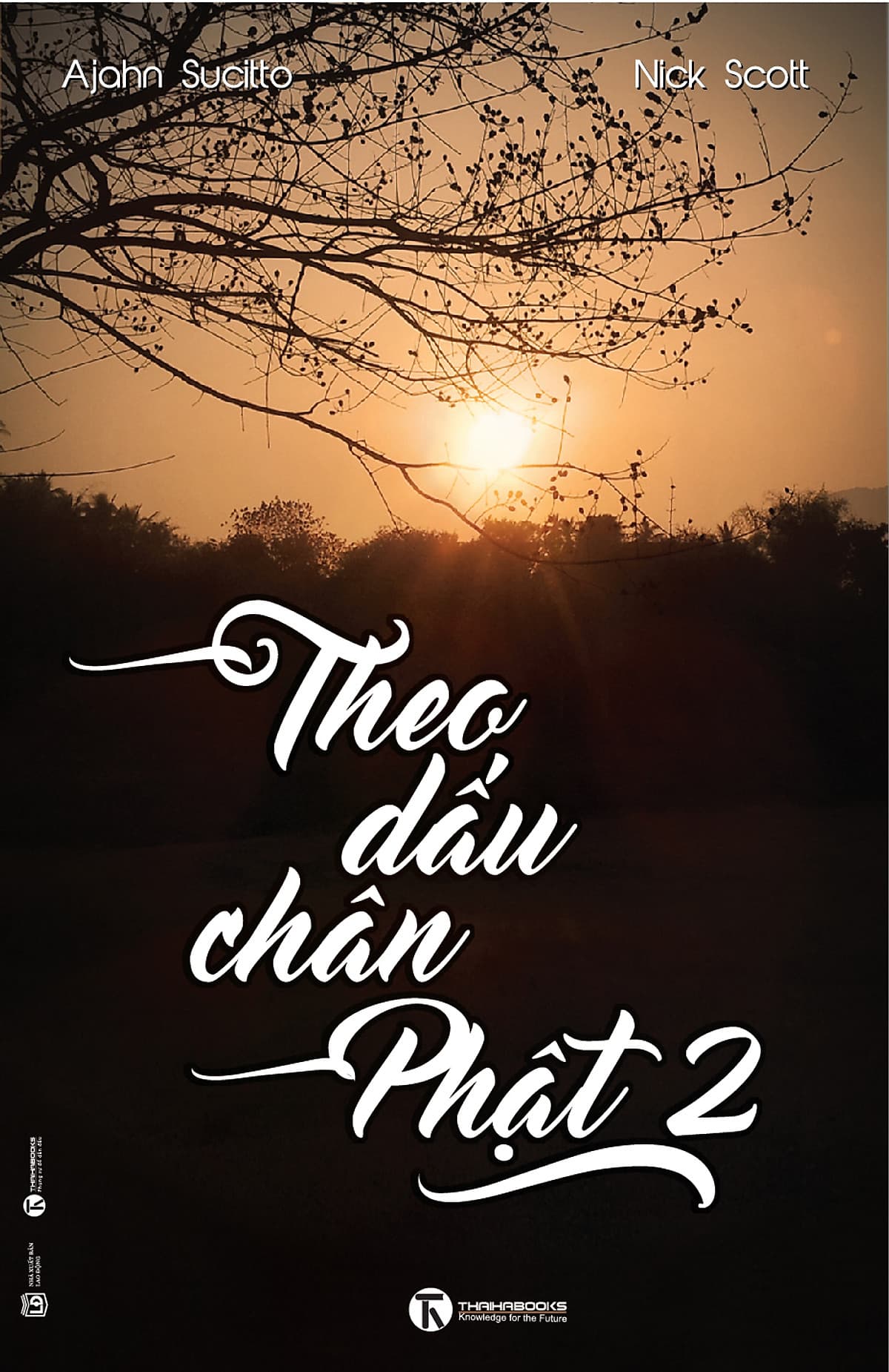 Bìa sách Theo Dấu Chân Phật (Tập 2)