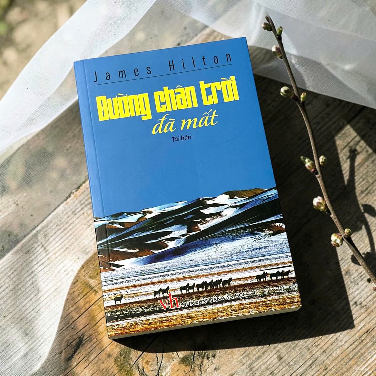 Bìa sách Đường Chân Trời Đã Mất