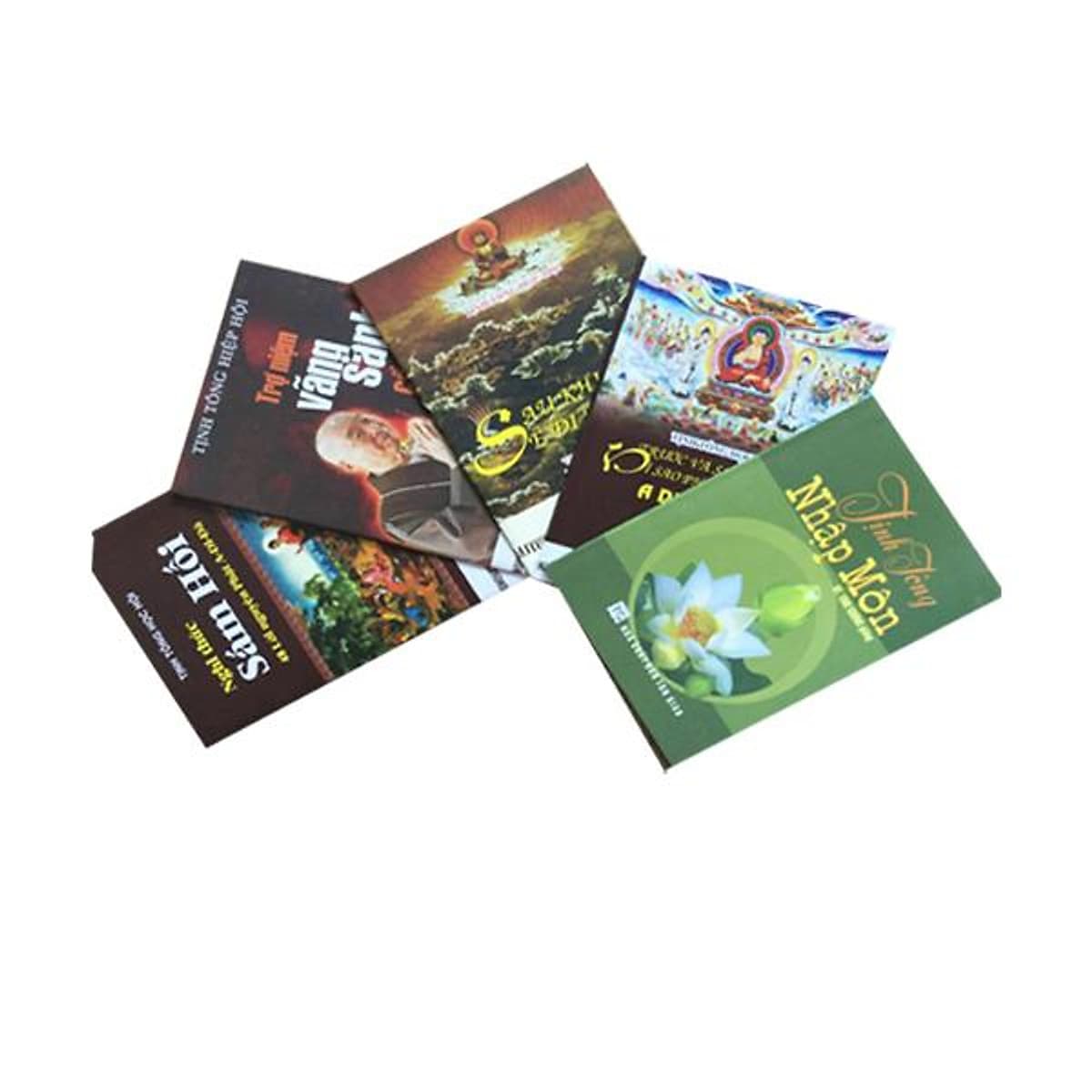 Bìa sách Combo 5 cuốn Tịnh độ tông Phật giáo